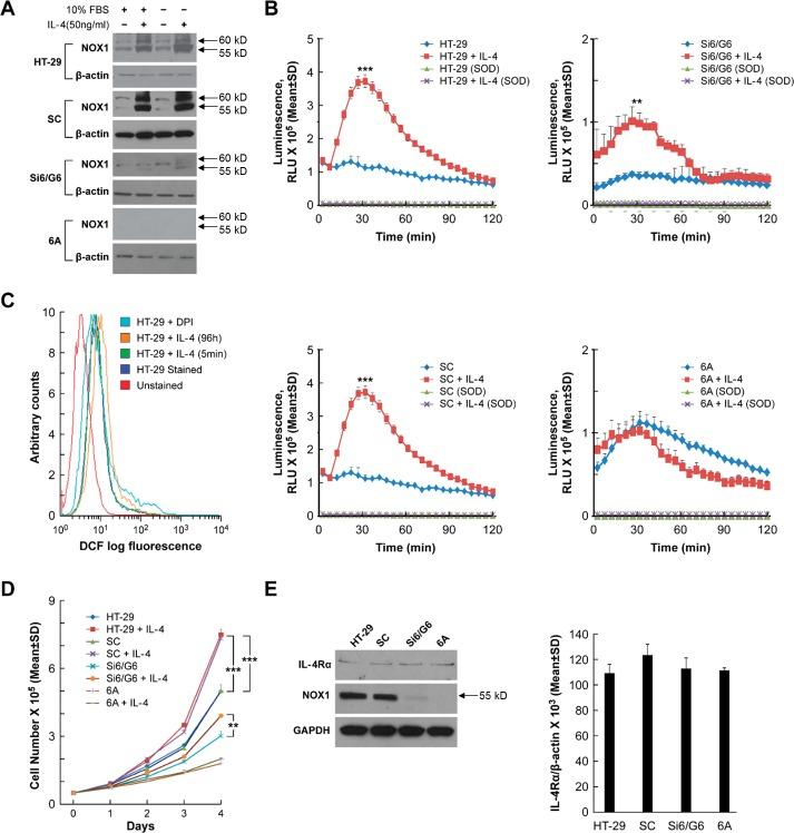 https://cdn.ncbi.nlm.nih.gov/pmc/blobs/e92b/5503519/94a3bfa5209c/oncotarget-08-38113-g002.jpg