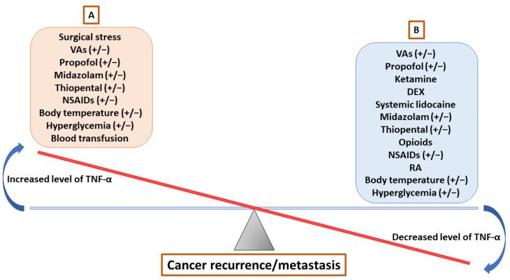 https://cdn.ncbi.nlm.nih.gov/pmc/blobs/e93f/9913216/66e3565a9094/cancers-15-00739-g002.jpg