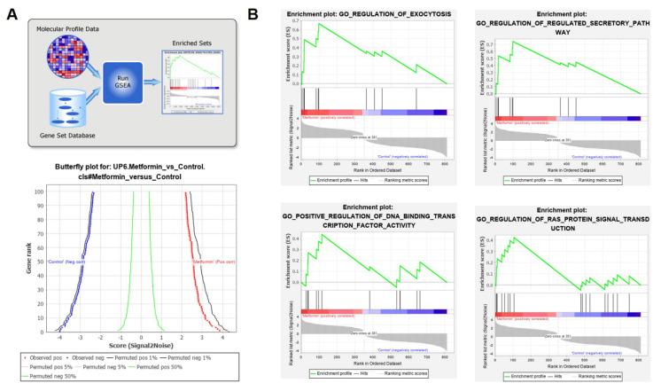 https://cdn.ncbi.nlm.nih.gov/pmc/blobs/e959/8468785/570465cca3c2/genes-12-01437-g004.jpg