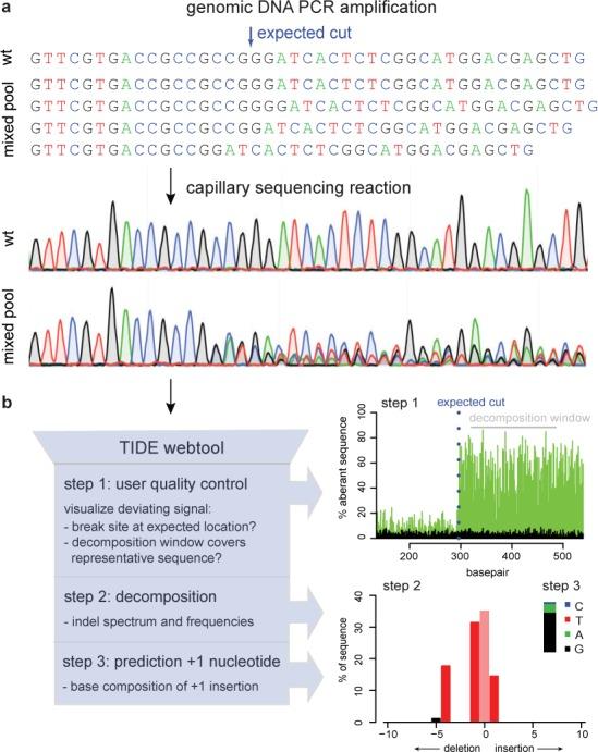 https://cdn.ncbi.nlm.nih.gov/pmc/blobs/e960/4267669/24386f198724/gku936fig1.jpg