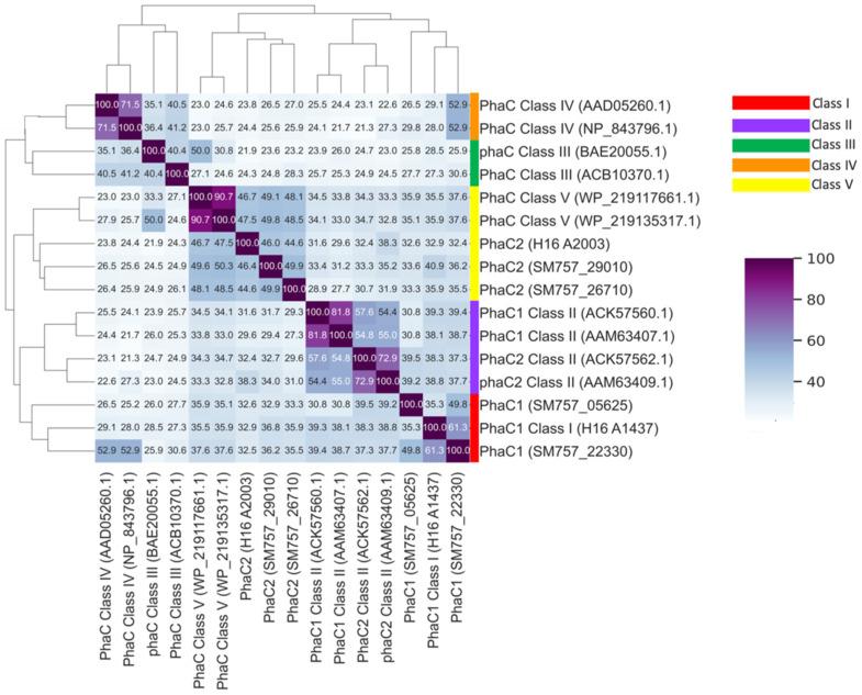 https://cdn.ncbi.nlm.nih.gov/pmc/blobs/e96d/11767486/181b856fae87/microorganisms-13-00137-g005.jpg