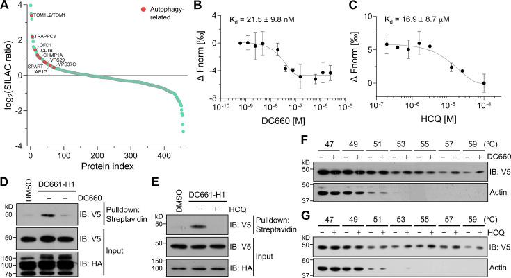 https://cdn.ncbi.nlm.nih.gov/pmc/blobs/e970/11677243/a1f0e7357cd0/elife-102667-fig6.jpg
