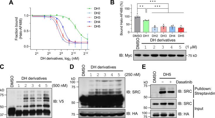https://cdn.ncbi.nlm.nih.gov/pmc/blobs/e970/11677243/f2ad31430a4b/elife-102667-fig4.jpg