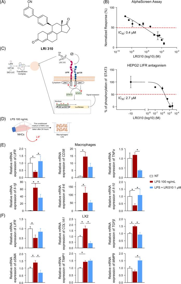 https://cdn.ncbi.nlm.nih.gov/pmc/blobs/e9a1/12385065/15c8ca6cd799/hc9-9-e0779-g005.jpg