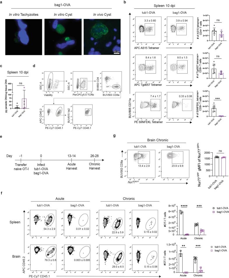 https://cdn.ncbi.nlm.nih.gov/pmc/blobs/e9a4/11964939/e9c78e09dd31/41564_2025_1967_Fig6_ESM.jpg