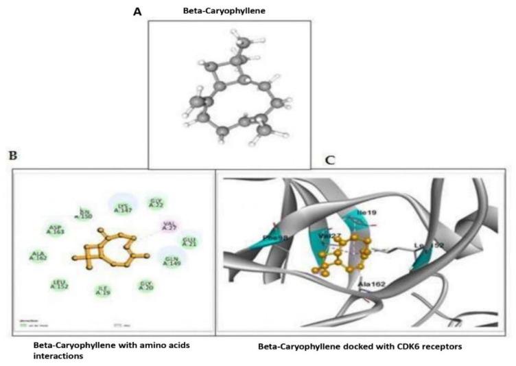 https://cdn.ncbi.nlm.nih.gov/pmc/blobs/e9af/9735510/336ceb2ce973/molecules-27-08354-g004.jpg