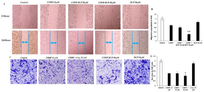 https://cdn.ncbi.nlm.nih.gov/pmc/blobs/e9af/9735510/c43b33567a39/molecules-27-08354-g002.jpg