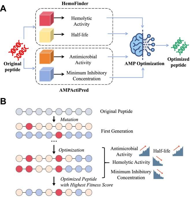 https://cdn.ncbi.nlm.nih.gov/pmc/blobs/e9b8/11701527/af5074561676/gkae1019fig5.jpg