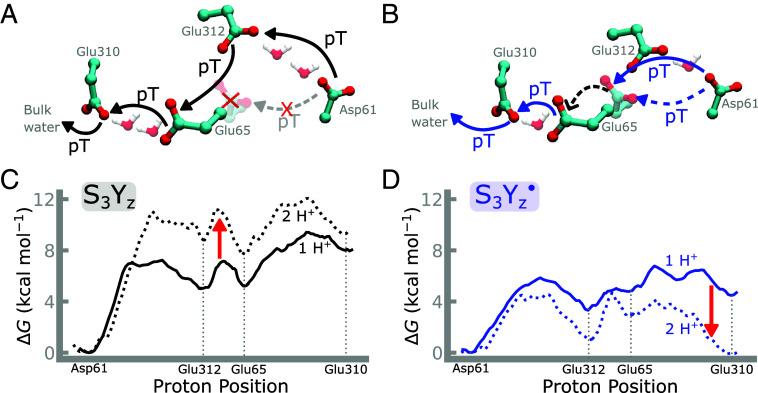 https://cdn.ncbi.nlm.nih.gov/pmc/blobs/e9cc/11670119/bb43bd2daae6/pnas.2413396121fig03.jpg