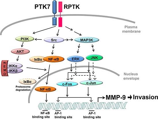 https://cdn.ncbi.nlm.nih.gov/pmc/blobs/e9de/5341976/498e9d3c19a1/oncotarget-07-73242-g010.jpg