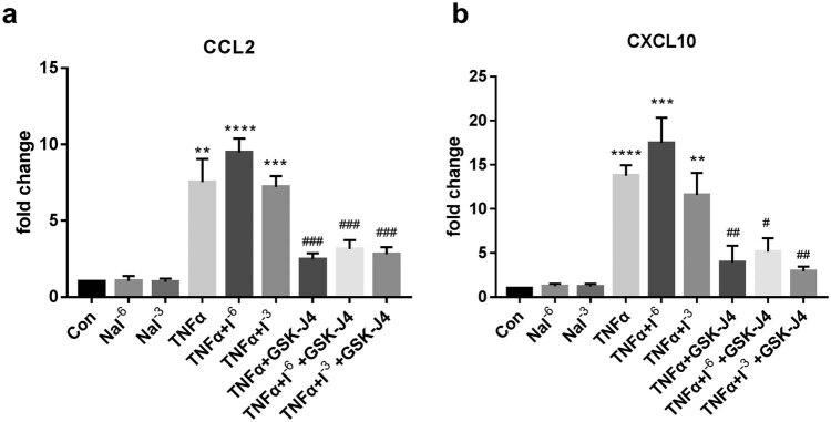 https://cdn.ncbi.nlm.nih.gov/pmc/blobs/e9df/9979002/366d420f4dd5/j_med-2023-0659-fig003.jpg