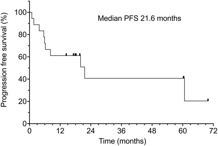 https://cdn.ncbi.nlm.nih.gov/pmc/blobs/e9f3/10327815/05663b6d93e6/oncotarget-14-28470-g002.jpg