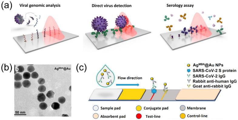 https://cdn.ncbi.nlm.nih.gov/pmc/blobs/e9f7/9775677/3d56d8b9e714/biosensors-12-01129-g004.jpg