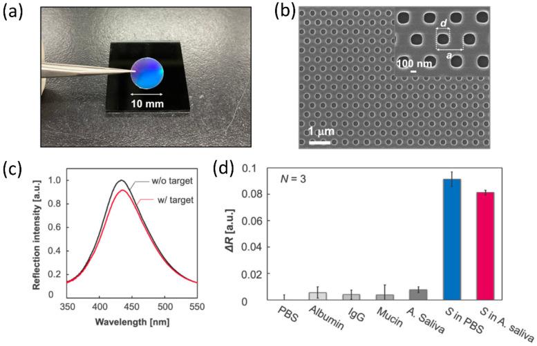 https://cdn.ncbi.nlm.nih.gov/pmc/blobs/e9f7/9775677/5ba74e7a76e2/biosensors-12-01129-g008.jpg