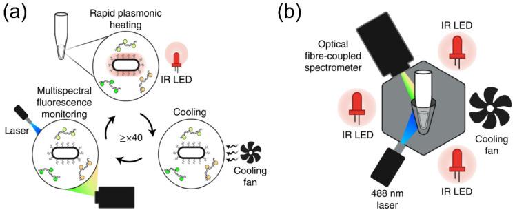 https://cdn.ncbi.nlm.nih.gov/pmc/blobs/e9f7/9775677/e9e2336e44b2/biosensors-12-01129-g006.jpg