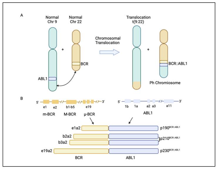 https://cdn.ncbi.nlm.nih.gov/pmc/blobs/ea2a/9317051/45bd8a03ef89/cancers-14-03300-g001.jpg