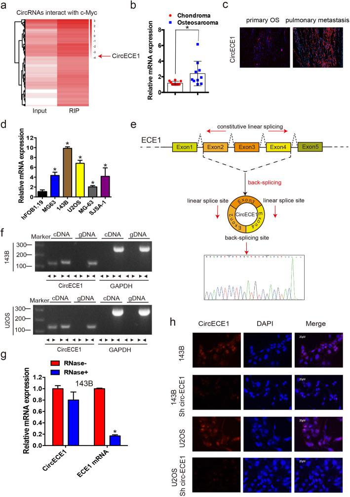 https://cdn.ncbi.nlm.nih.gov/pmc/blobs/ea58/7586679/b03dda322180/12943_2020_1269_Fig1_HTML.jpg