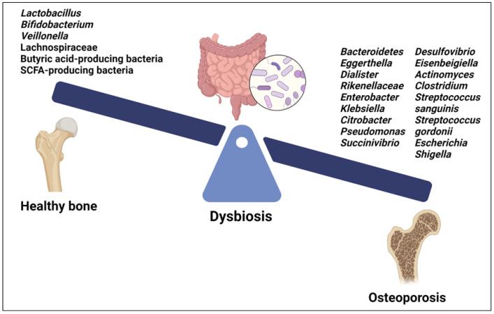 https://cdn.ncbi.nlm.nih.gov/pmc/blobs/ea63/11240679/376d6ed20f10/cells-13-01145-g003.jpg