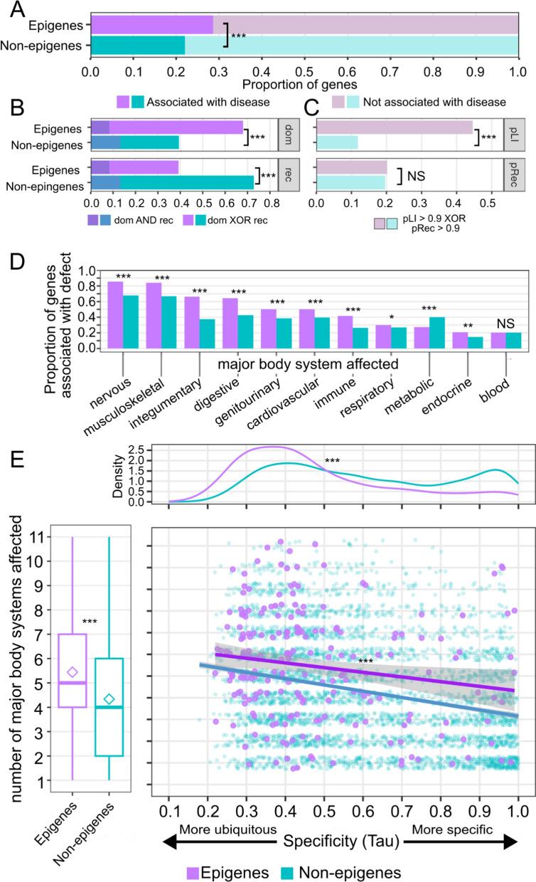 https://cdn.ncbi.nlm.nih.gov/pmc/blobs/ea64/11786378/e7598010caa0/13072_2025_571_Fig5_HTML.jpg