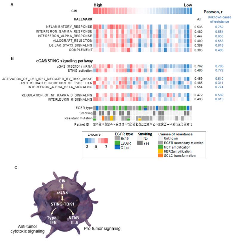 https://cdn.ncbi.nlm.nih.gov/pmc/blobs/ea7c/11941500/a802b62eb2b8/cells-14-00447-g002.jpg