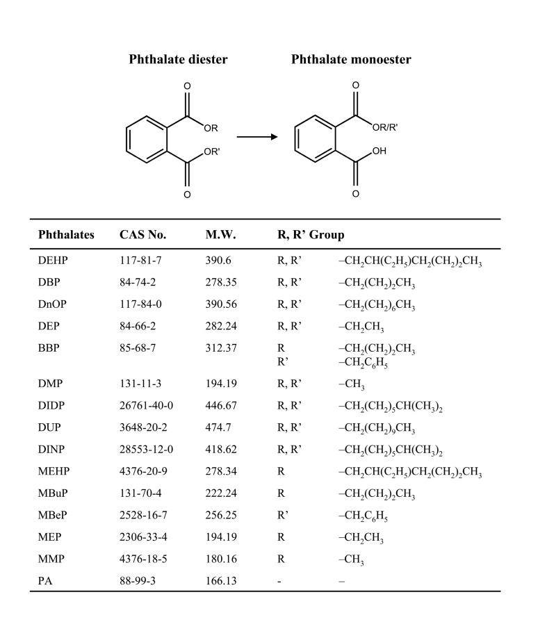 https://cdn.ncbi.nlm.nih.gov/pmc/blobs/ea85/3834459/701adeb313b7/toxicr-26-75-g001.jpg