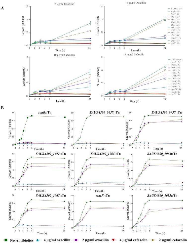https://cdn.ncbi.nlm.nih.gov/pmc/blobs/ea92/11851648/84ecfa351629/antibiotics-14-00112-g002.jpg
