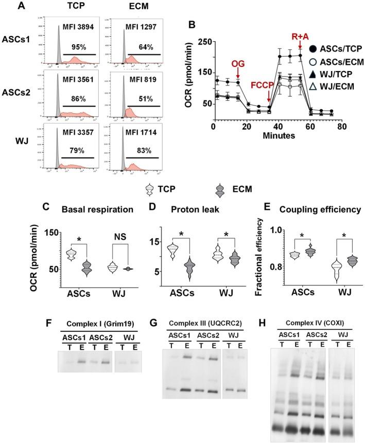 https://cdn.ncbi.nlm.nih.gov/pmc/blobs/eaa3/12419859/fa919cc07ab5/ACEL-24-e70165-g004.jpg