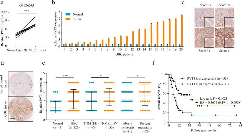 https://cdn.ncbi.nlm.nih.gov/pmc/blobs/eaa7/6397746/bbf0c1f7deb5/12943_2019_947_Fig1_HTML.jpg