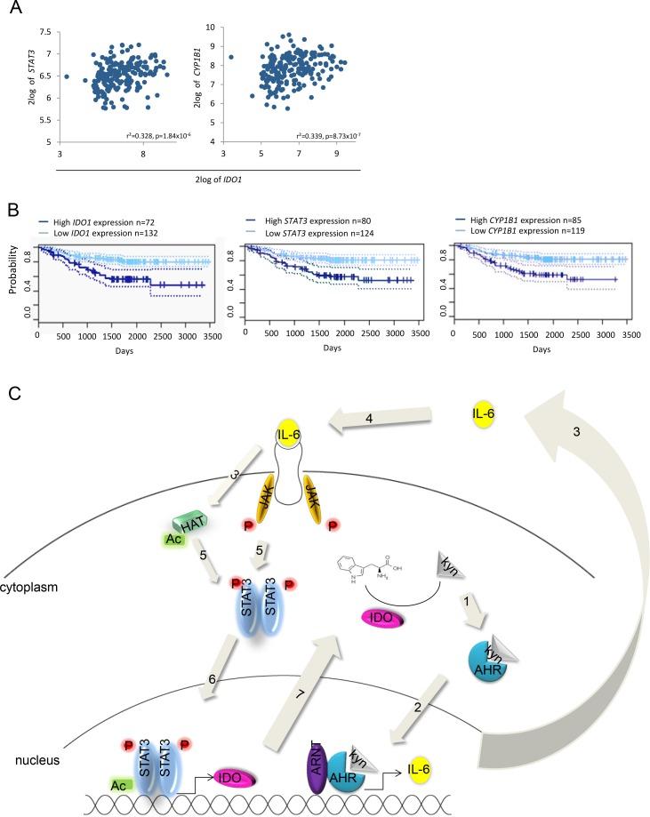 https://cdn.ncbi.nlm.nih.gov/pmc/blobs/eab5/4011581/18852c3df832/oncotarget-05-1038-g007.jpg