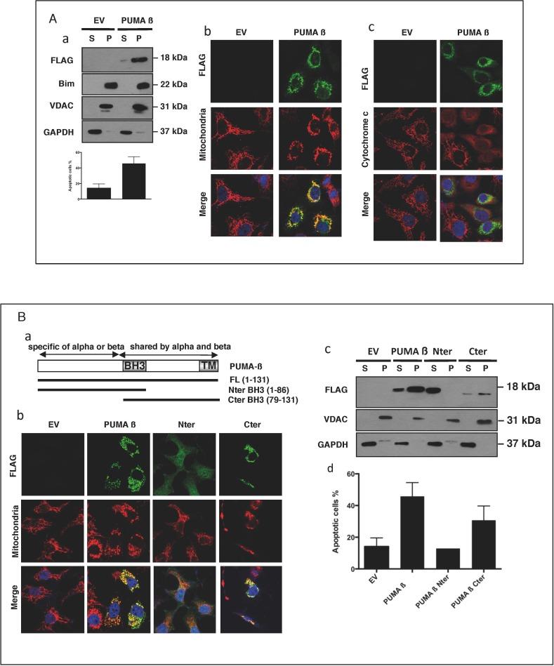 https://cdn.ncbi.nlm.nih.gov/pmc/blobs/eab9/4741992/703825b93f23/oncotarget-06-38181-g003.jpg