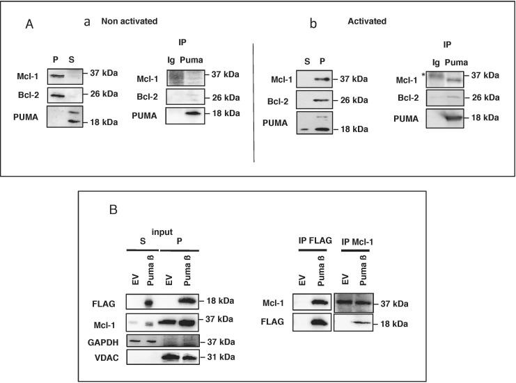https://cdn.ncbi.nlm.nih.gov/pmc/blobs/eab9/4741992/c775cf3dd5dc/oncotarget-06-38181-g004.jpg