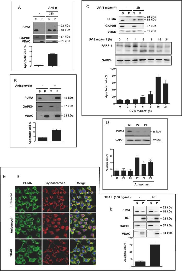 https://cdn.ncbi.nlm.nih.gov/pmc/blobs/eab9/4741992/d6b4d938a850/oncotarget-06-38181-g002.jpg