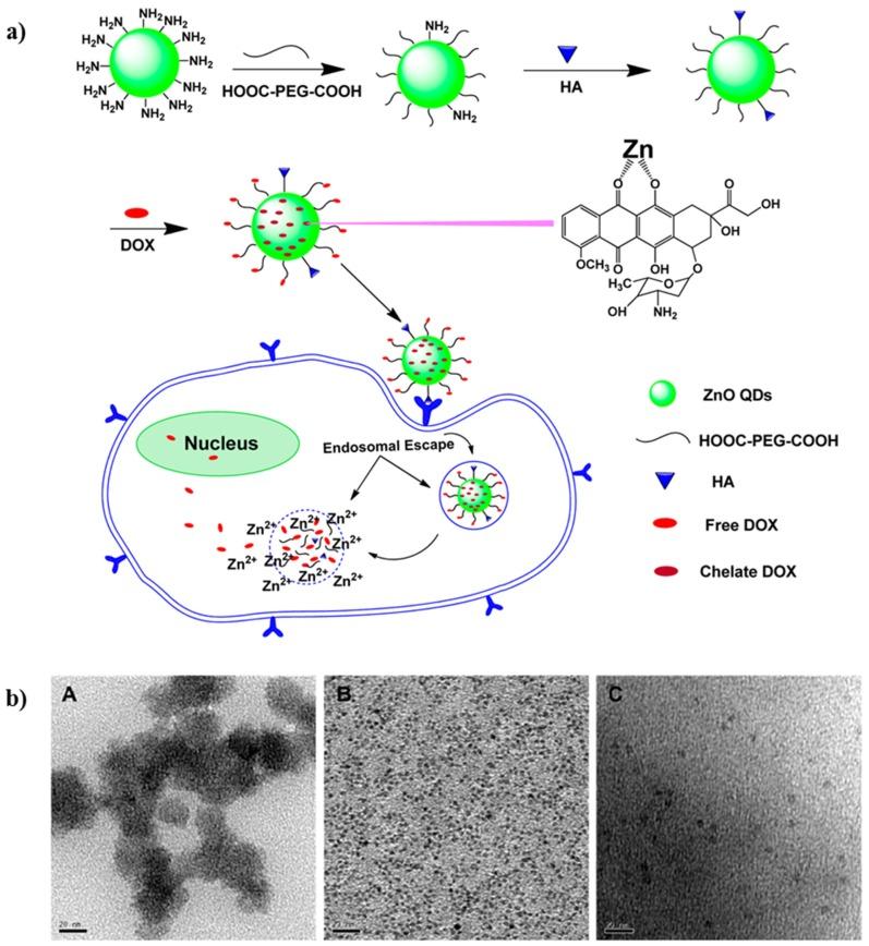 https://cdn.ncbi.nlm.nih.gov/pmc/blobs/eac8/7180689/e800ce72448a/molecules-25-01605-g015.jpg