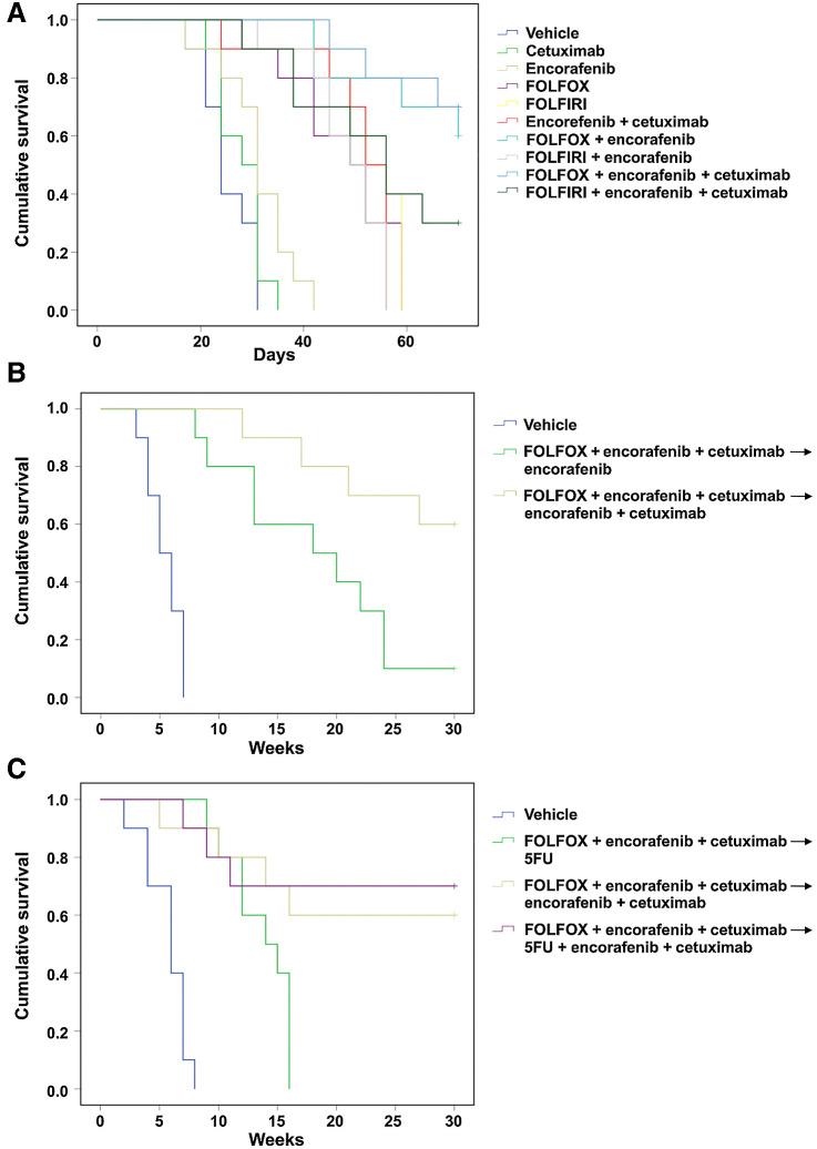 https://cdn.ncbi.nlm.nih.gov/pmc/blobs/eade/10261917/ba6c941366c9/2299fig5.jpg