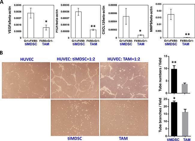 https://cdn.ncbi.nlm.nih.gov/pmc/blobs/eaea/5589571/f8d3625319bd/oncotarget-08-54173-g006.jpg