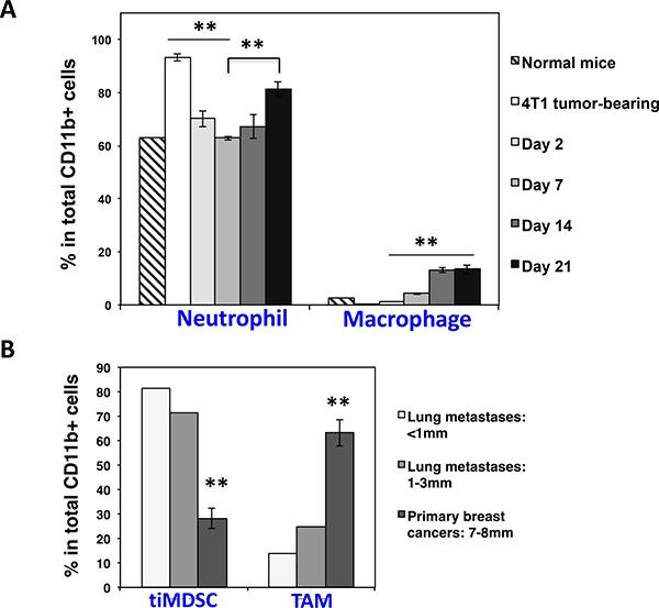 https://cdn.ncbi.nlm.nih.gov/pmc/blobs/eaea/5589571/feb652edc800/oncotarget-08-54173-g008.jpg