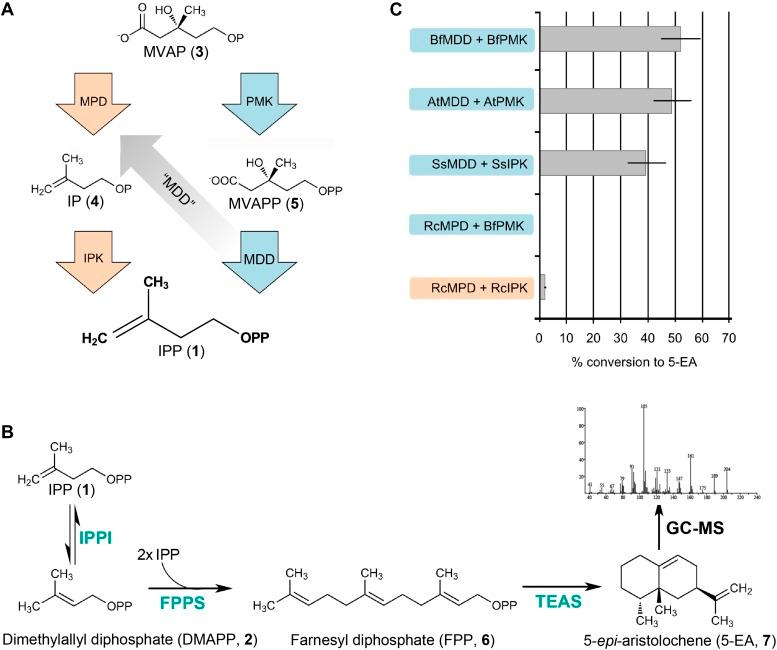 https://cdn.ncbi.nlm.nih.gov/pmc/blobs/eaf8/3857490/0ce26569198d/elife00672f004.jpg