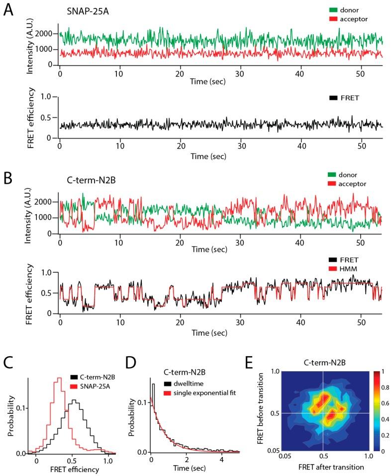 https://cdn.ncbi.nlm.nih.gov/pmc/blobs/eb02/6468417/02528f3b56f7/biomolecules-09-00114-g001.jpg
