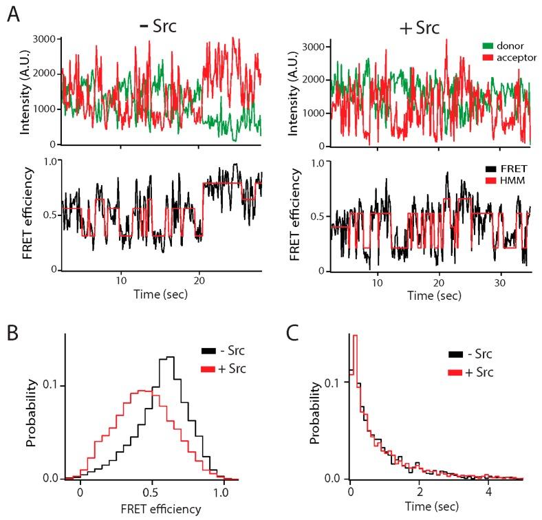 https://cdn.ncbi.nlm.nih.gov/pmc/blobs/eb02/6468417/19f257f2bb5c/biomolecules-09-00114-g003.jpg