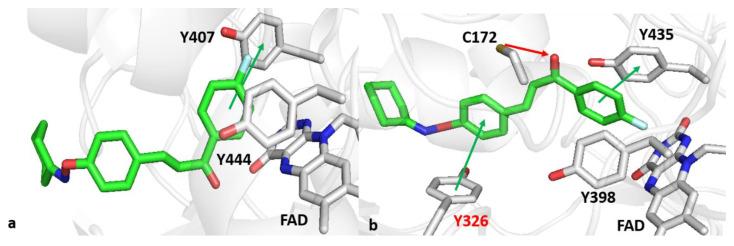 https://cdn.ncbi.nlm.nih.gov/pmc/blobs/eb07/7288026/42c58776b19d/molecules-25-02356-g006.jpg