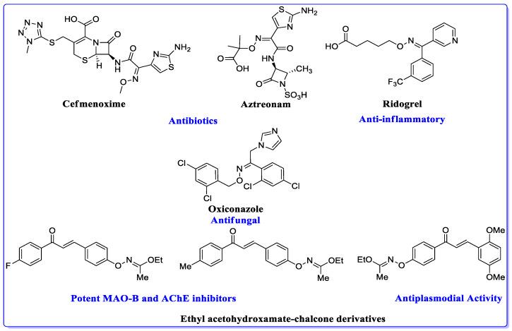 https://cdn.ncbi.nlm.nih.gov/pmc/blobs/eb07/7288026/44db739fe460/molecules-25-02356-g002.jpg