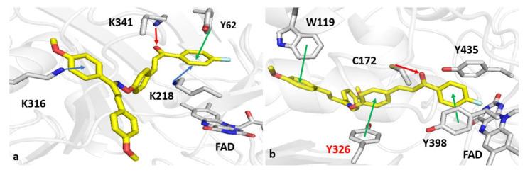 https://cdn.ncbi.nlm.nih.gov/pmc/blobs/eb07/7288026/dc937bd20fcd/molecules-25-02356-g005.jpg