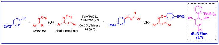 https://cdn.ncbi.nlm.nih.gov/pmc/blobs/eb07/7288026/f7abee4ca306/molecules-25-02356-sch002.jpg