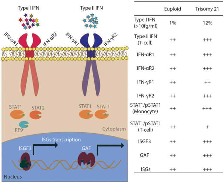 https://cdn.ncbi.nlm.nih.gov/pmc/blobs/eb09/11422465/a16cfd16d14f/12016_2024_8996_Fig1_HTML.jpg
