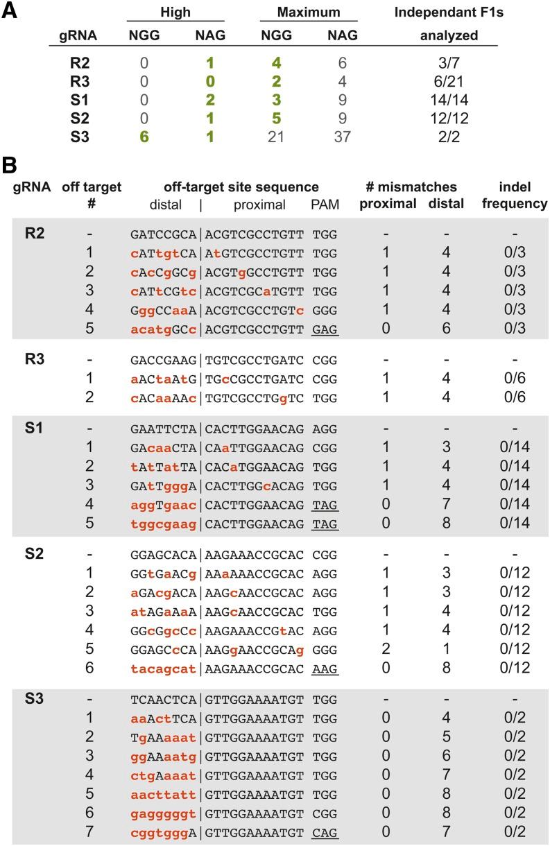 https://cdn.ncbi.nlm.nih.gov/pmc/blobs/eb31/3982687/6451bd02564d/961fig5.jpg