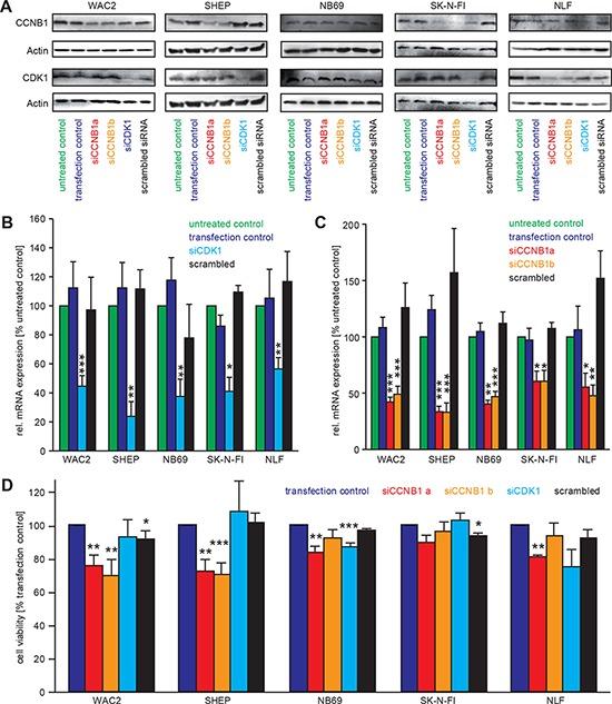 https://cdn.ncbi.nlm.nih.gov/pmc/blobs/eb39/4558161/ca619370c57f/oncotarget-06-15425-g003.jpg