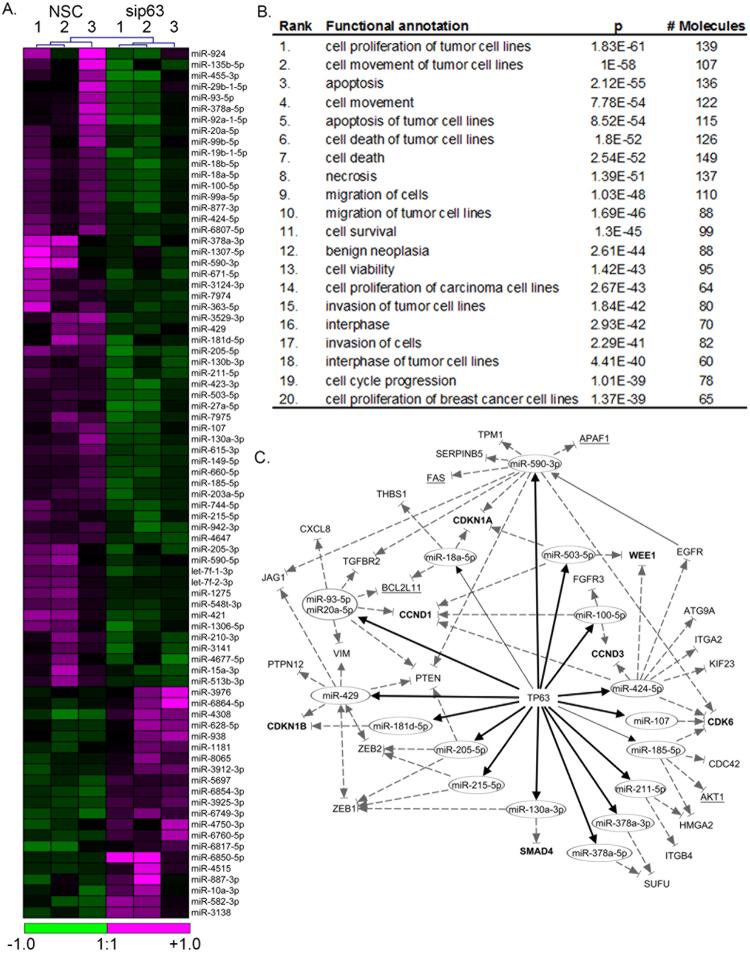 https://cdn.ncbi.nlm.nih.gov/pmc/blobs/eb3a/6030203/cac00efbf563/41598_2018_28168_Fig7_HTML.jpg