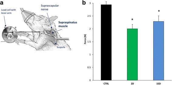 https://cdn.ncbi.nlm.nih.gov/pmc/blobs/eb3b/5679320/dbccd3d6162b/12891_2017_1789_Fig2_HTML.jpg