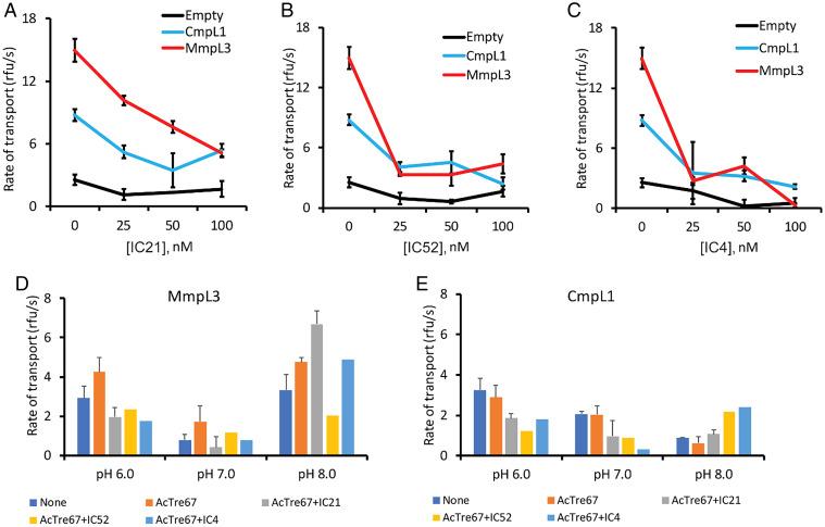 https://cdn.ncbi.nlm.nih.gov/pmc/blobs/eb40/9335285/e3b3cd377d61/pnas.2113963119fig07.jpg