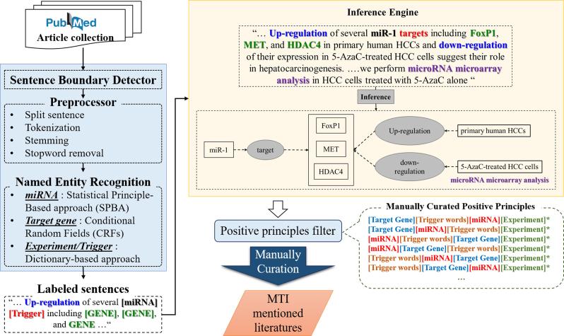 https://cdn.ncbi.nlm.nih.gov/pmc/blobs/eb61/5753222/6972a7a8f080/gkx1067fig3.jpg